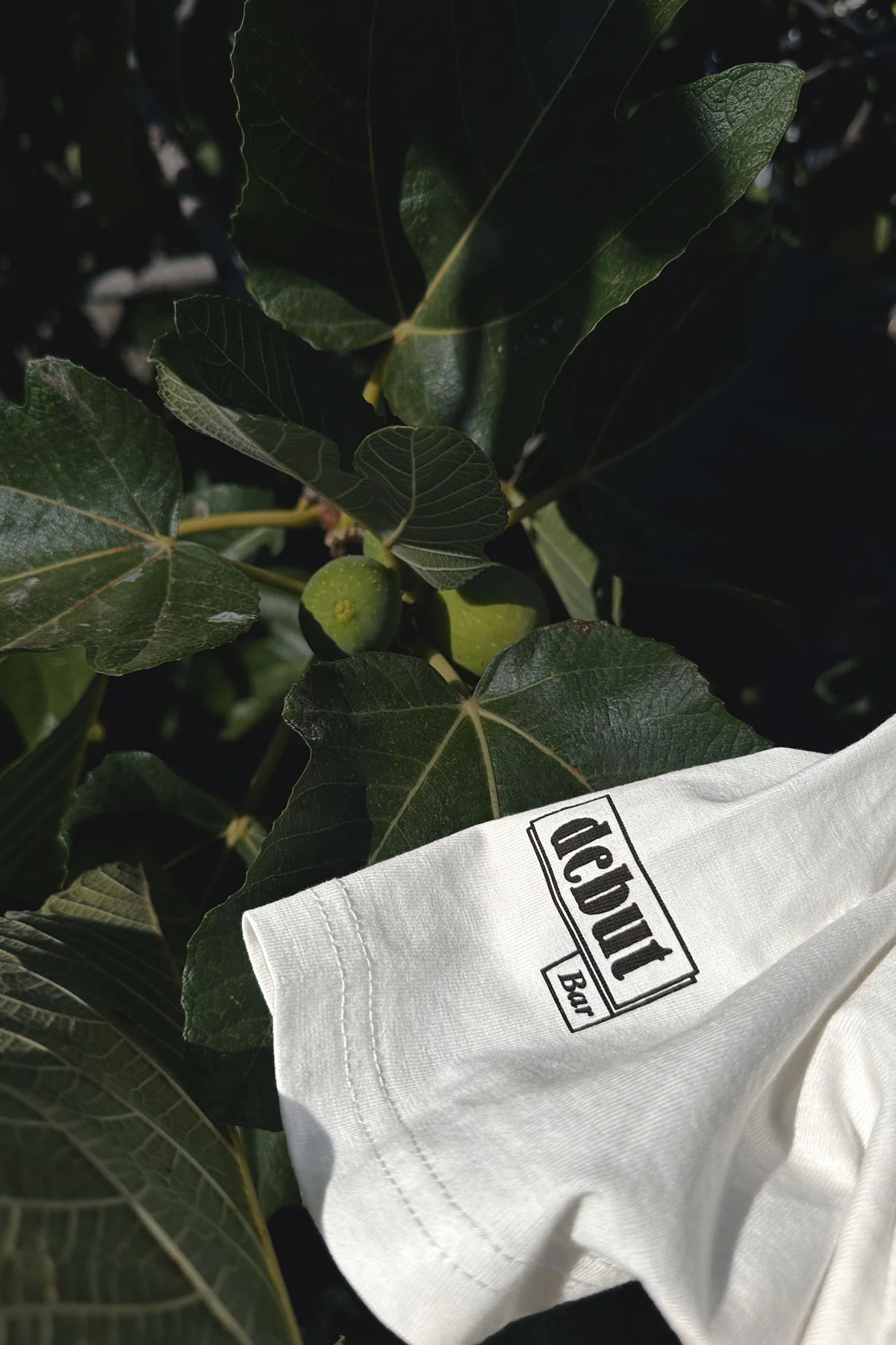 Camiseta amics de temporada - 3